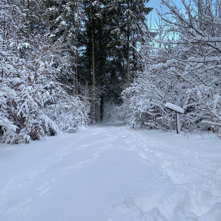 winter driveway 3